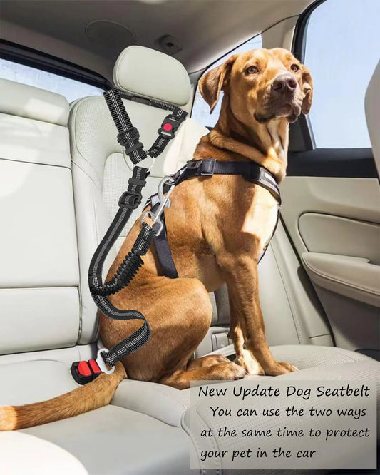 Dog Car Seat Belt