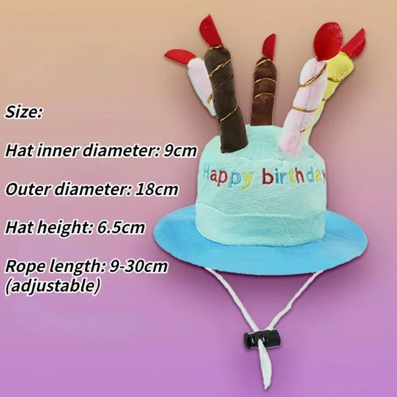 Birthday Cake Hats