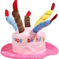 Birthday Cake Hats