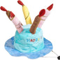 Birthday Cake Hats