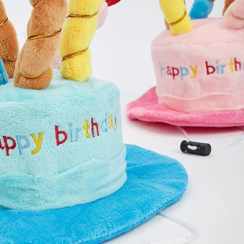 Birthday Cake Hats