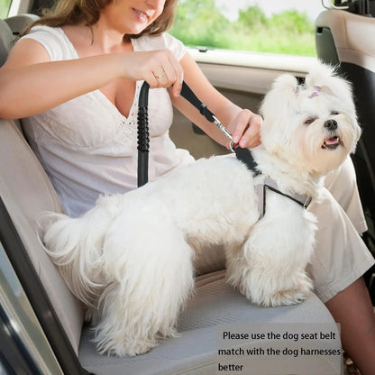 Dog Car Seat Belt