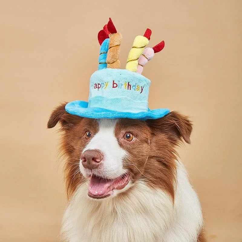 Birthday Cake Hats