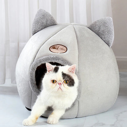 Cat House